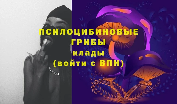 jwh Алзамай