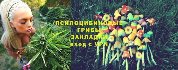 хмурый Алексин