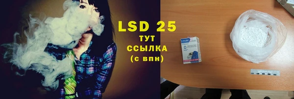 хмурый Алексин