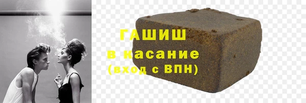 хмурый Алексин