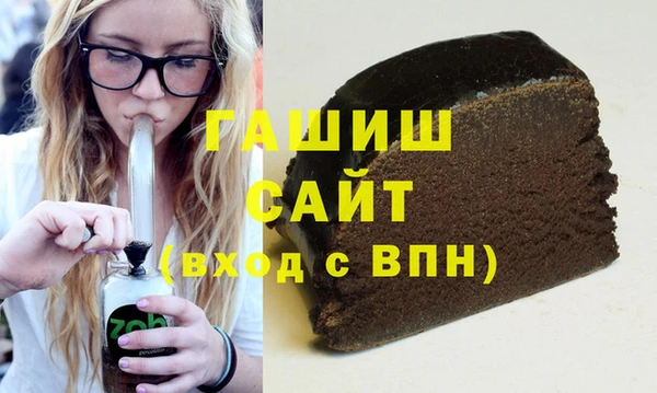 хмурый Алексин