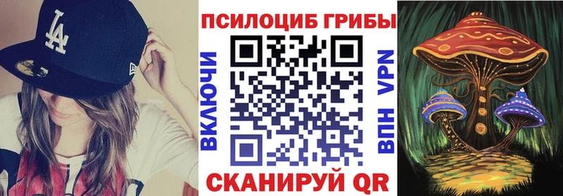 закладки  Слюдянка  Галлюциногенные грибы Psilocybe 