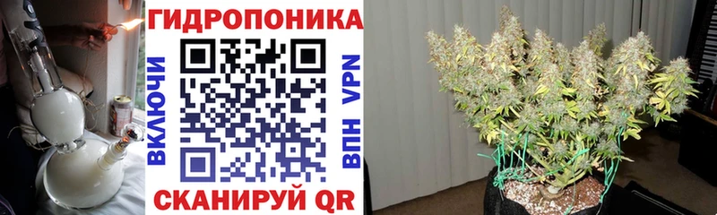 Конопля OG Kush Слюдянка